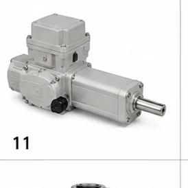 Electric Valve Actuator 11